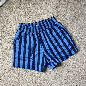 Aerie Blue Striped Cotton Shorts